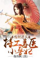 天下特工神医小兽妃