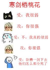 寒剑栖桃花实体书一共有几册